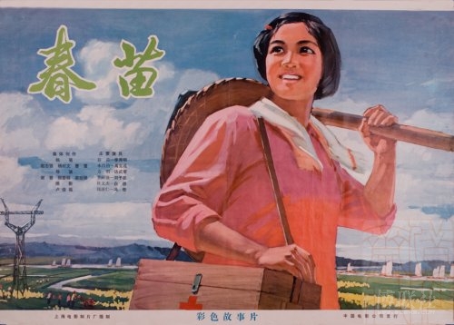 山东政法学院毕业证样本